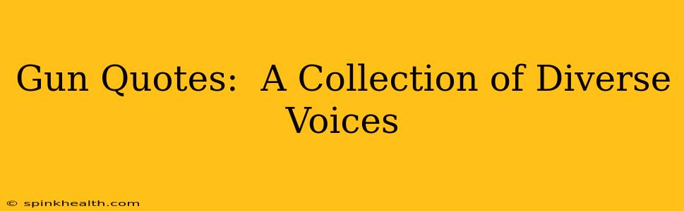 Gun Quotes:  A Collection of Diverse Voices