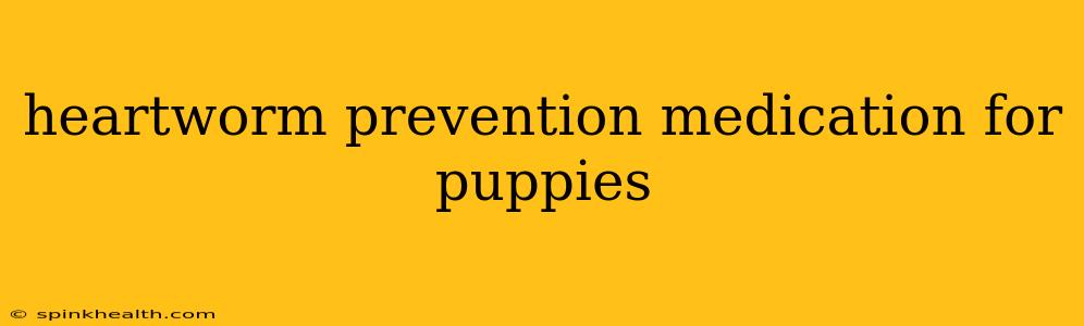 heartworm prevention medication for puppies