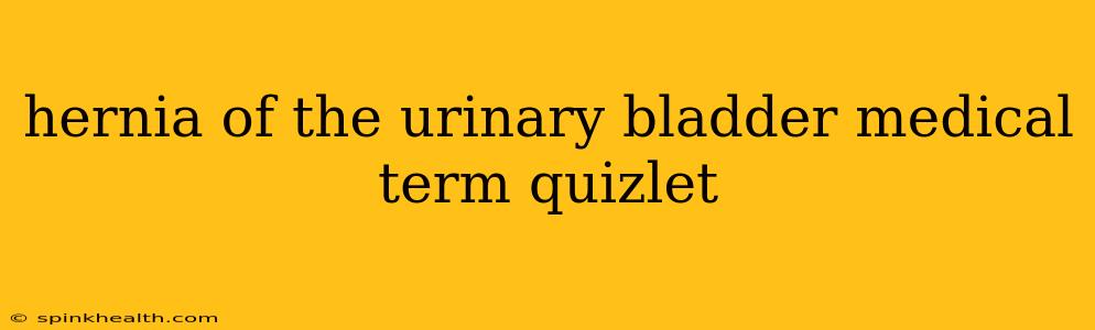 hernia of the urinary bladder medical term quizlet
