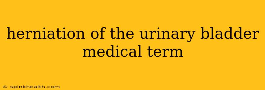 herniation of the urinary bladder medical term