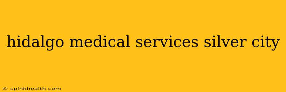 hidalgo medical services silver city