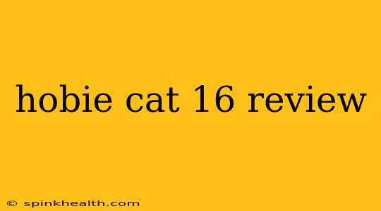 hobie cat 16 review