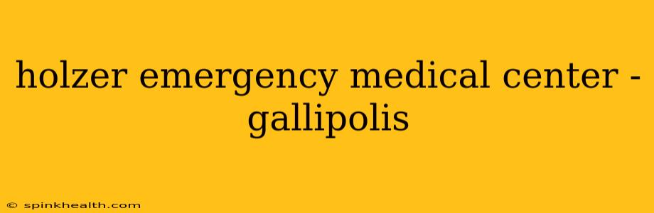 holzer emergency medical center - gallipolis