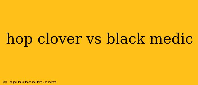 hop clover vs black medic