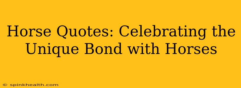Horse Quotes: Celebrating the Unique Bond with Horses