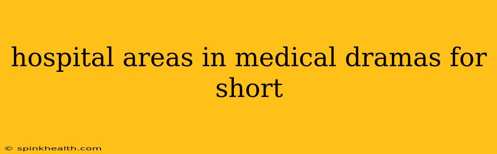 hospital areas in medical dramas for short