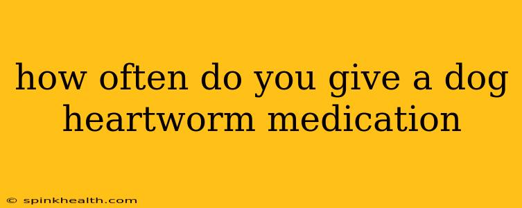 how often do you give a dog heartworm medication