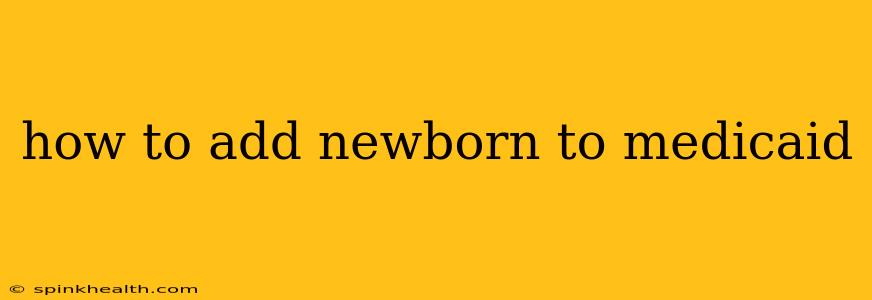 how to add newborn to medicaid