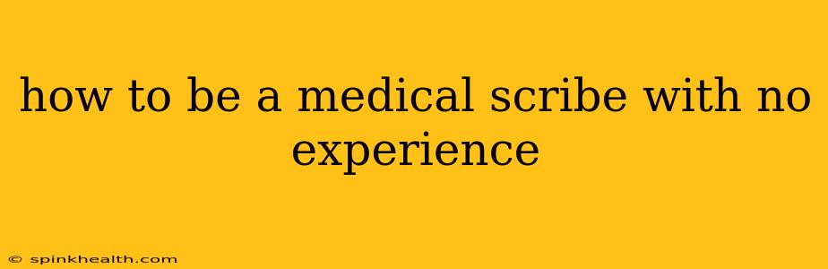 how to be a medical scribe with no experience