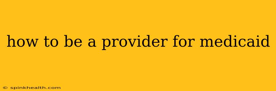 how to be a provider for medicaid