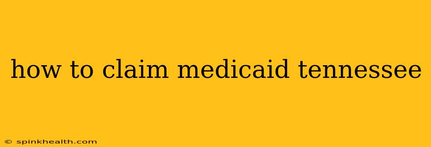how to claim medicaid tennessee