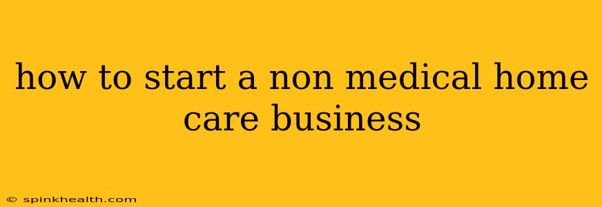 how to start a non medical home care business
