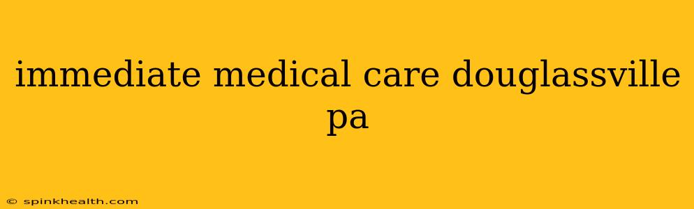immediate medical care douglassville pa