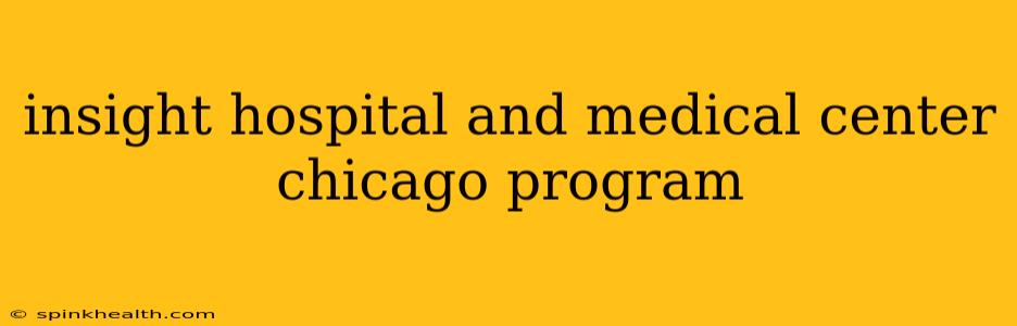 insight hospital and medical center chicago program