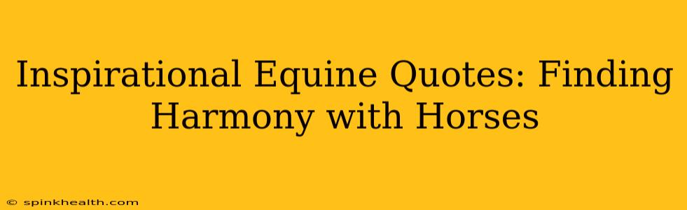Inspirational Equine Quotes: Finding Harmony with Horses
