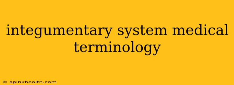 integumentary system medical terminology