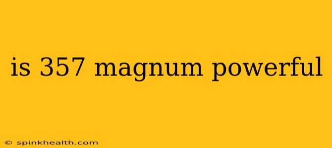 is 357 magnum powerful