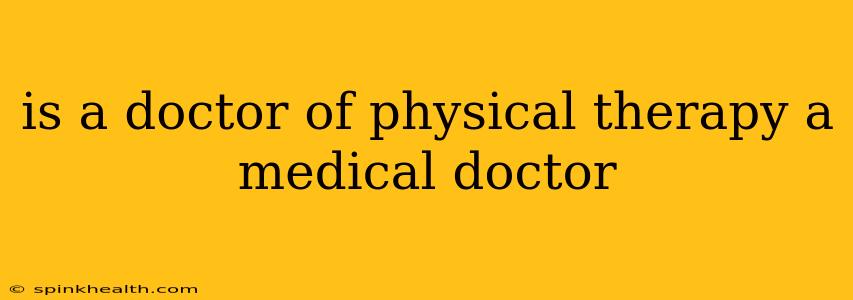 is a doctor of physical therapy a medical doctor