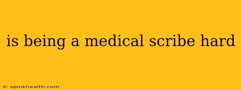 is being a medical scribe hard