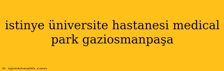 istinye üniversite hastanesi medical park gaziosmanpaşa