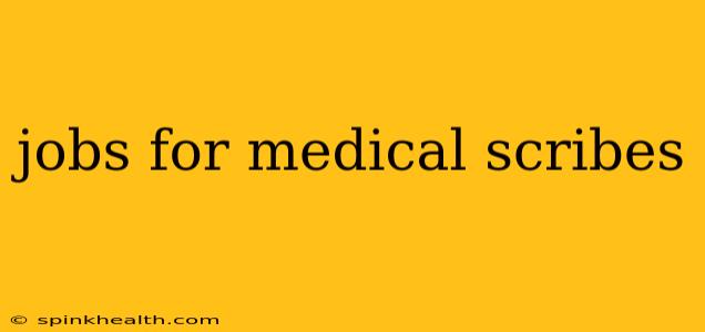 jobs for medical scribes