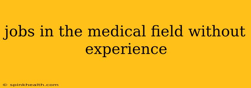 jobs in the medical field without experience