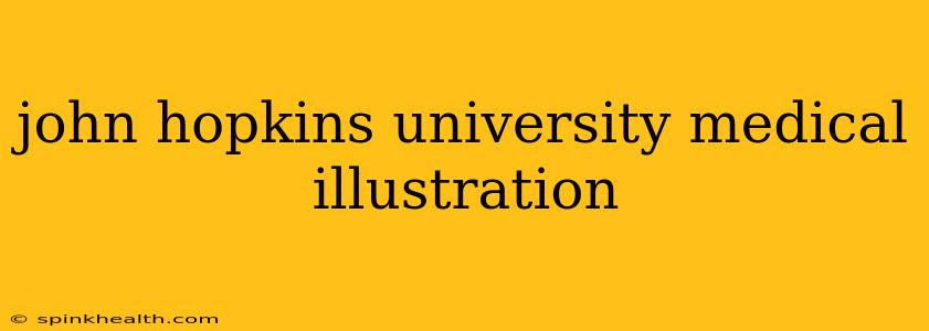 john hopkins university medical illustration