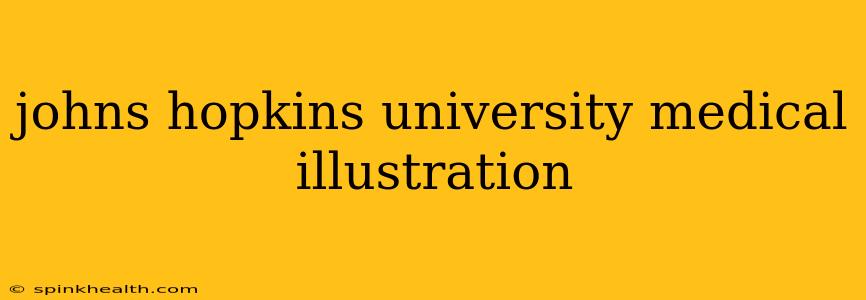 johns hopkins university medical illustration