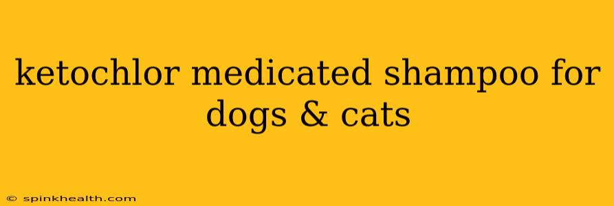 ketochlor medicated shampoo for dogs & cats
