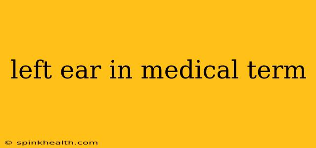 left ear in medical term