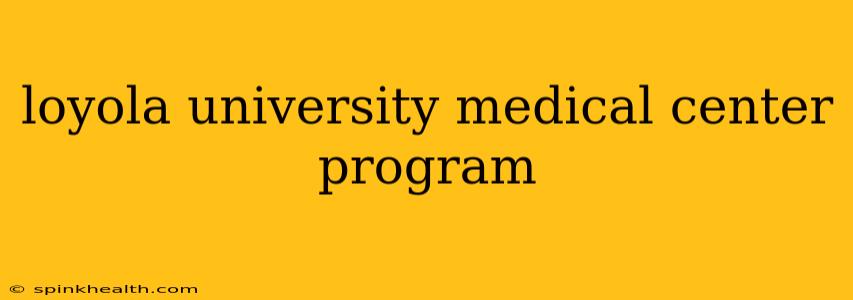 loyola university medical center program
