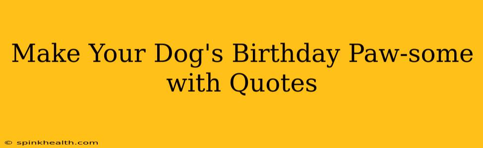 Make Your Dog's Birthday Paw-some with Quotes
