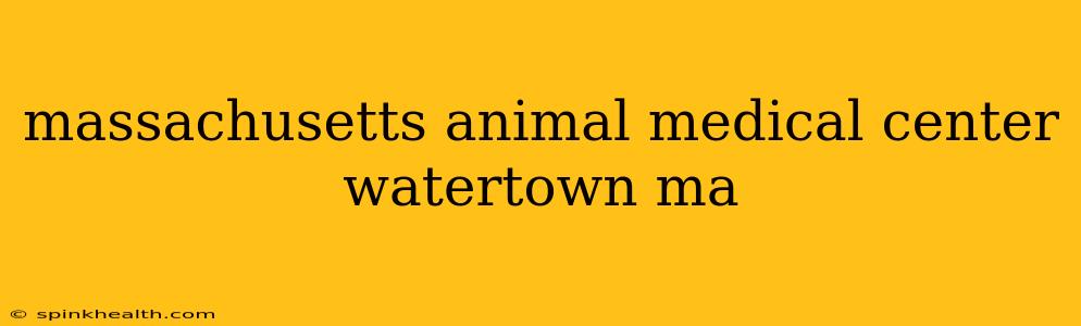 massachusetts animal medical center watertown ma