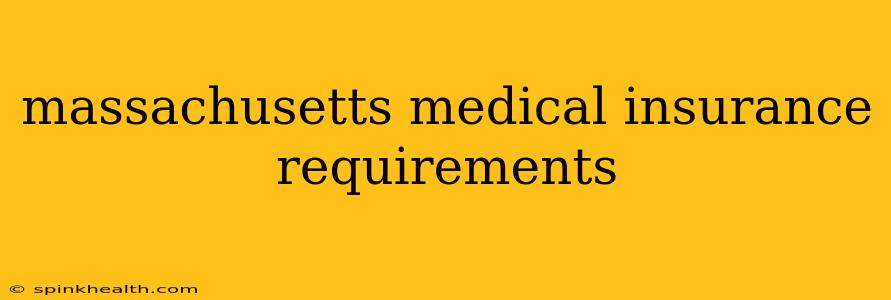 massachusetts medical insurance requirements
