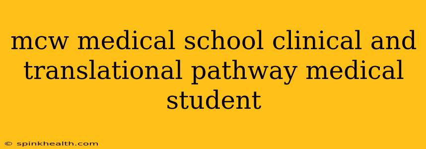 mcw medical school clinical and translational pathway medical student