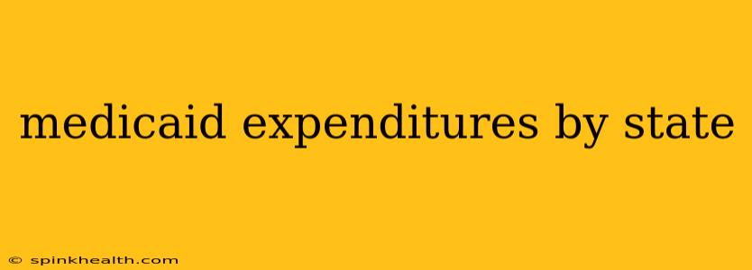medicaid expenditures by state