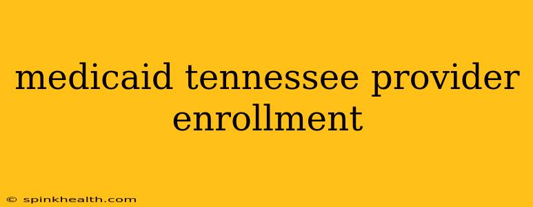 medicaid tennessee provider enrollment