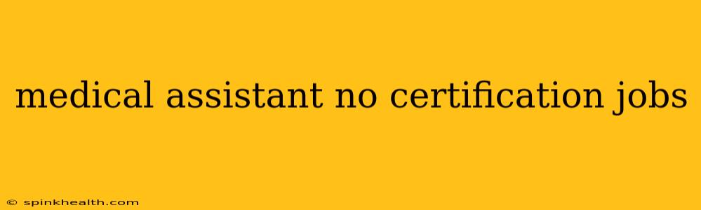 medical assistant no certification jobs