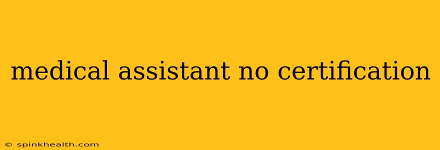 medical assistant no certification