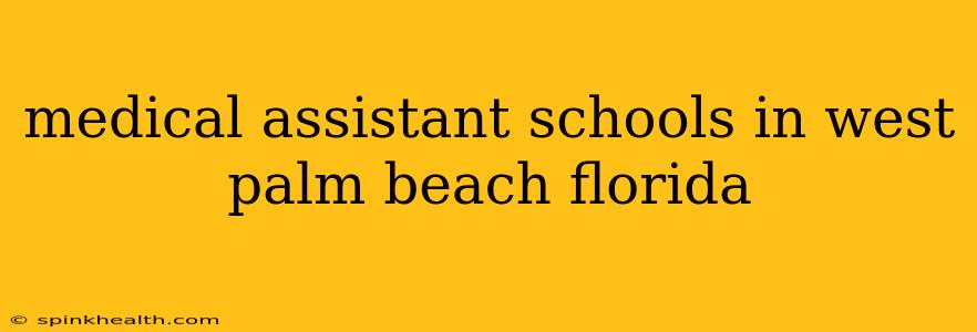 medical assistant schools in west palm beach florida