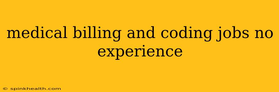 medical billing and coding jobs no experience