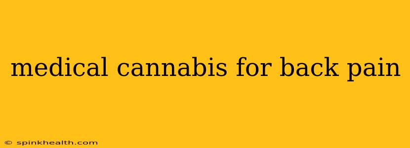 medical cannabis for back pain