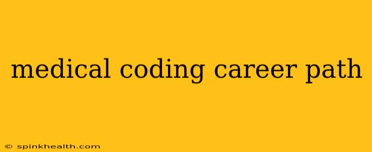 medical coding career path