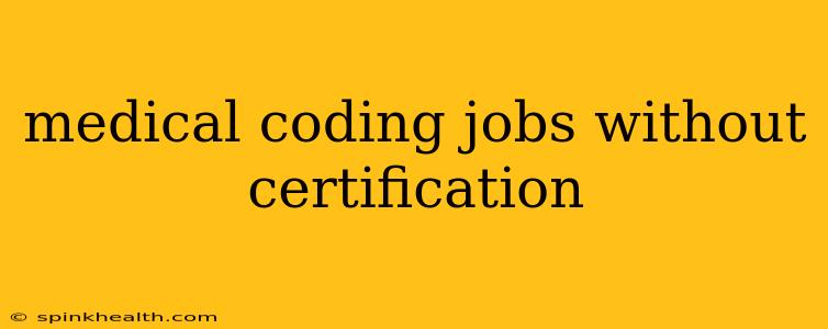 medical coding jobs without certification