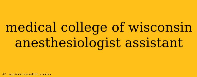 medical college of wisconsin anesthesiologist assistant