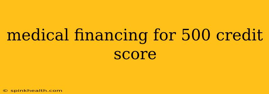 medical financing for 500 credit score