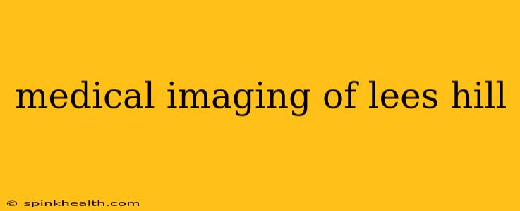 medical imaging of lees hill
