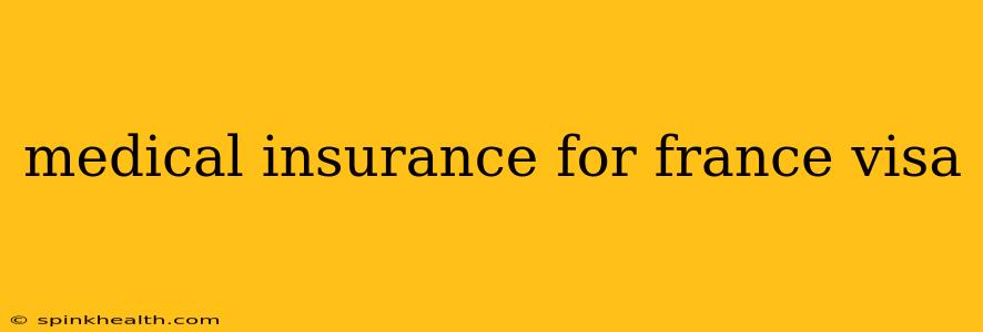medical insurance for france visa