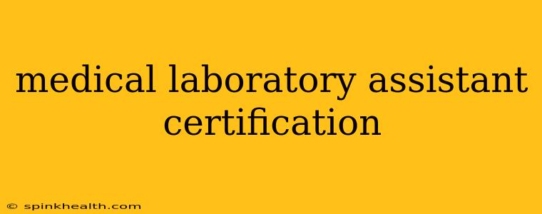 medical laboratory assistant certification