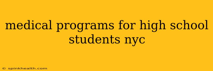 medical programs for high school students nyc